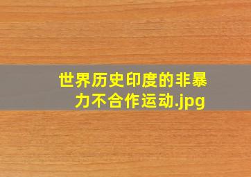 世界历史印度的非暴力不合作运动