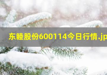 东睦股份600114今日行情