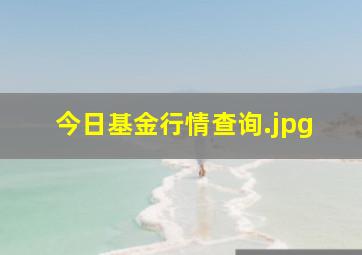 今日基金行情查询