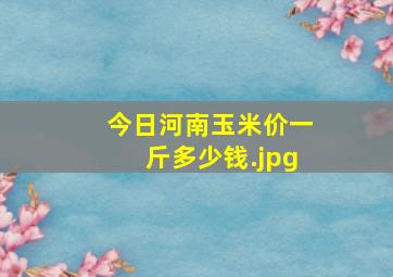 今日河南玉米价一斤多少钱