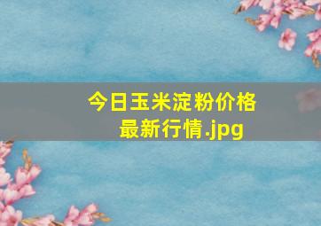 今日玉米淀粉价格最新行情