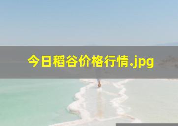 今日稻谷价格行情