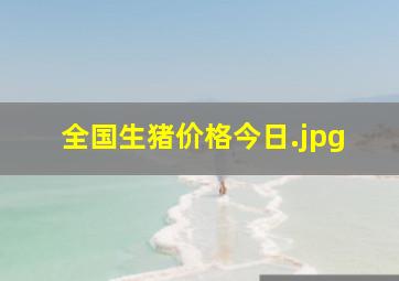 全国生猪价格今日