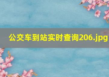 公交车到站实时查询206