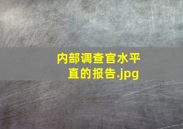 内部调查官水平直的报告