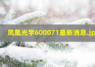 凤凰光学600071最新消息