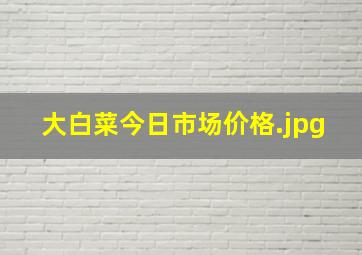 大白菜今日市场价格