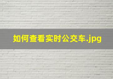 如何查看实时公交车