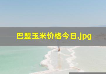 巴盟玉米价格今日