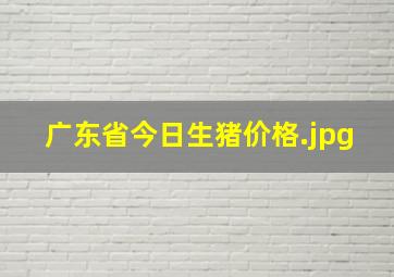 广东省今日生猪价格