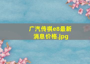 广汽传祺e8最新消息价格