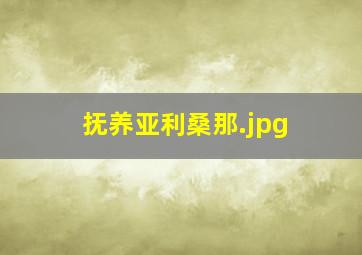 抚养亚利桑那