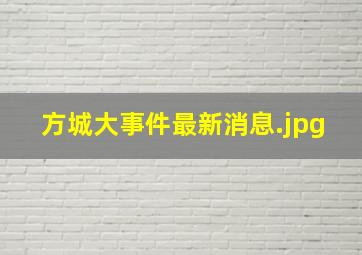 方城大事件最新消息