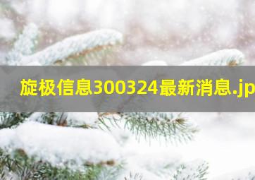 旋极信息300324最新消息