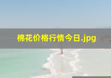 棉花价格行情今日