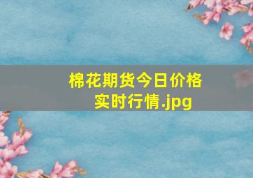 棉花期货今日价格实时行情