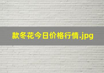 款冬花今日价格行情