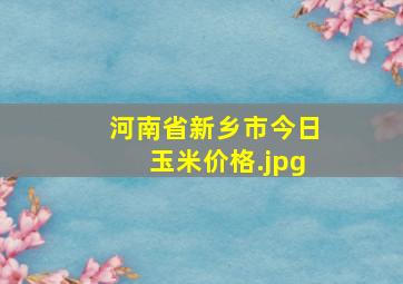 河南省新乡市今日玉米价格