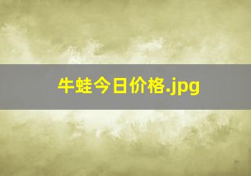 牛蛙今日价格