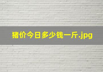 猪价今日多少钱一斤