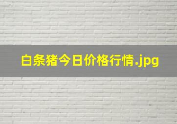 白条猪今日价格行情