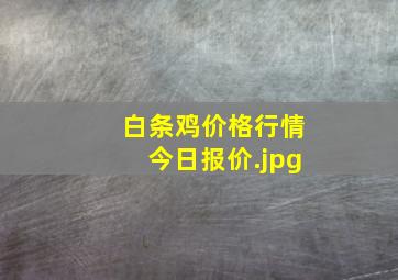 白条鸡价格行情今日报价