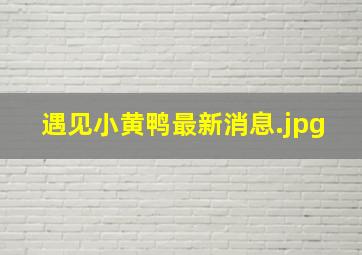 遇见小黄鸭最新消息