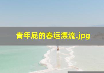 青年屁的春运漂流