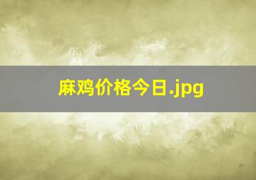 麻鸡价格今日