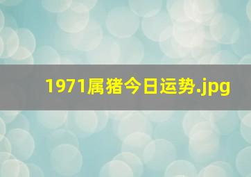 1971属猪今日运势