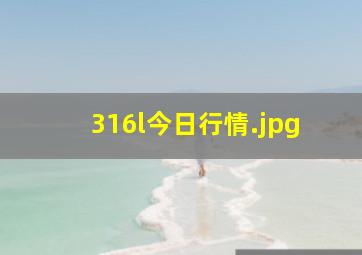 316l今日行情