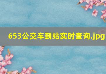 653公交车到站实时查询