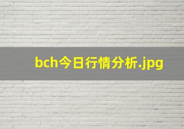 bch今日行情分析