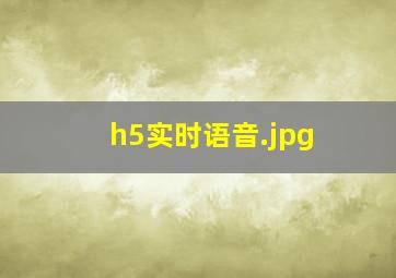 h5实时语音