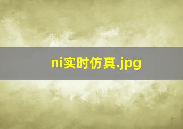 ni实时仿真