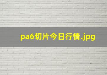 pa6切片今日行情