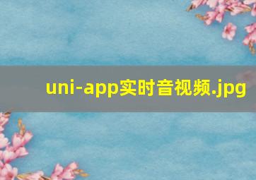 uni-app实时音视频